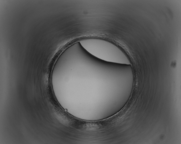 X0000097850636200803140858