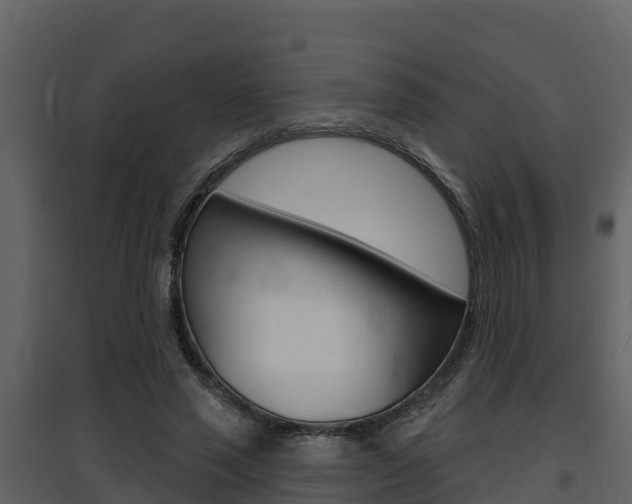 X0000097850637200803140858