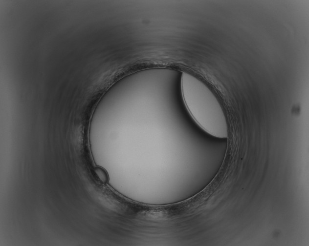 X0000097850639200803140858