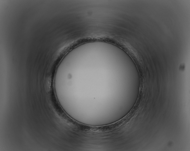 X0000097850640200803140858
