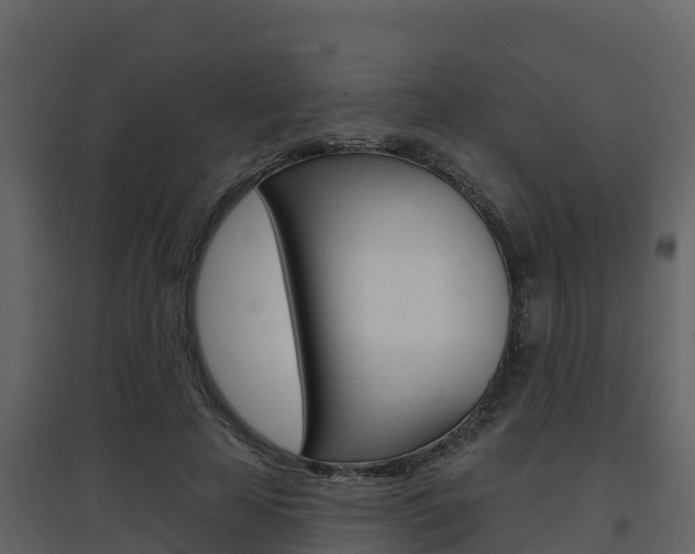 X0000097850641200803140858
