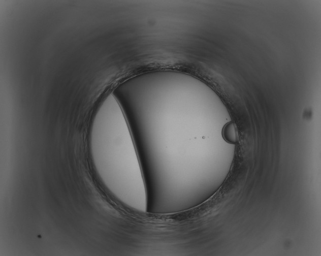 X0000097850642200803140858