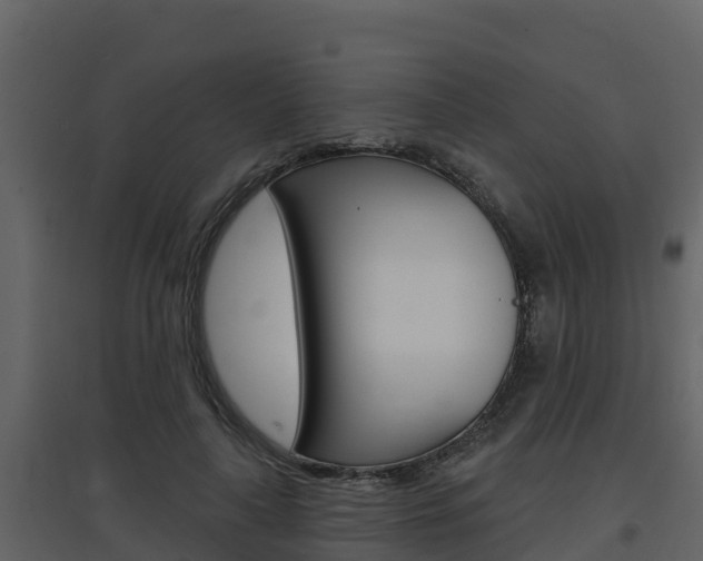 X0000097850643200803140858