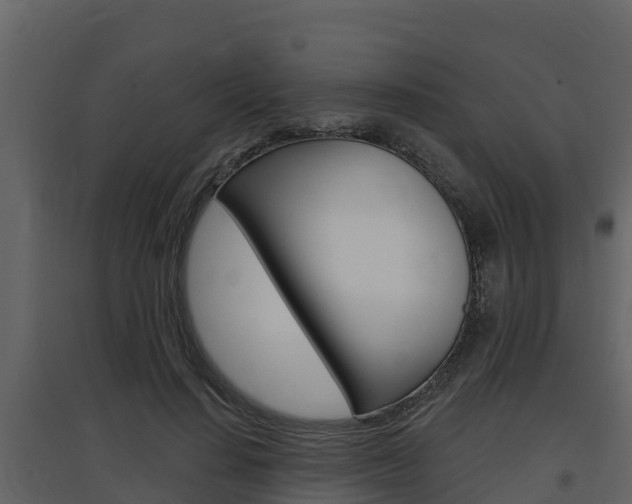 X0000097850644200803140858