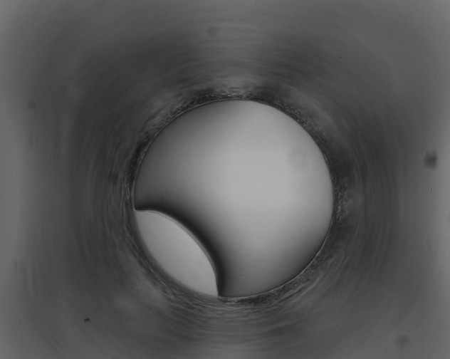 X0000097850647200803140858