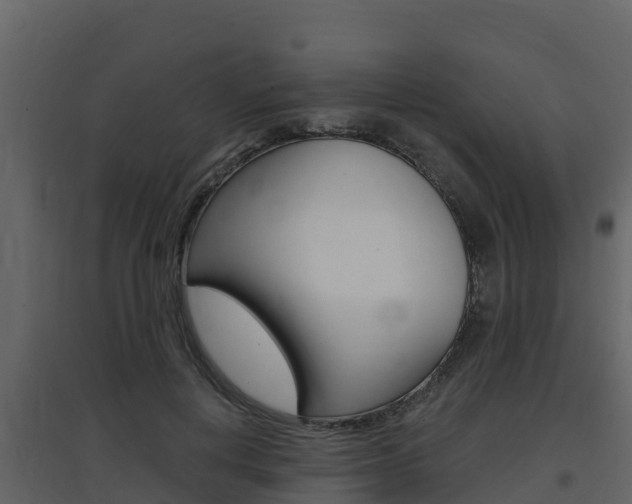 X0000097850648200803140858