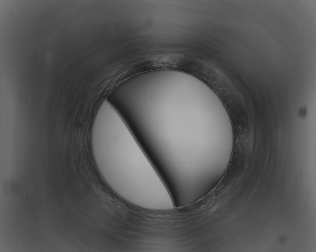 X0000097850649200803140858