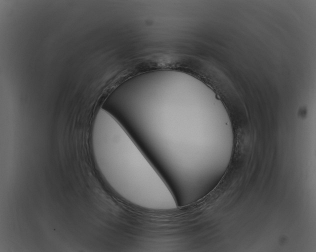 X0000097850650200803140858