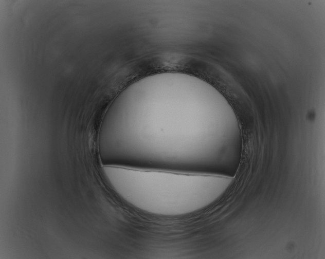 X0000097850651200803140858