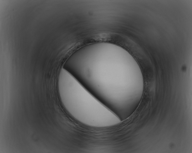 X0000097850652200803140858