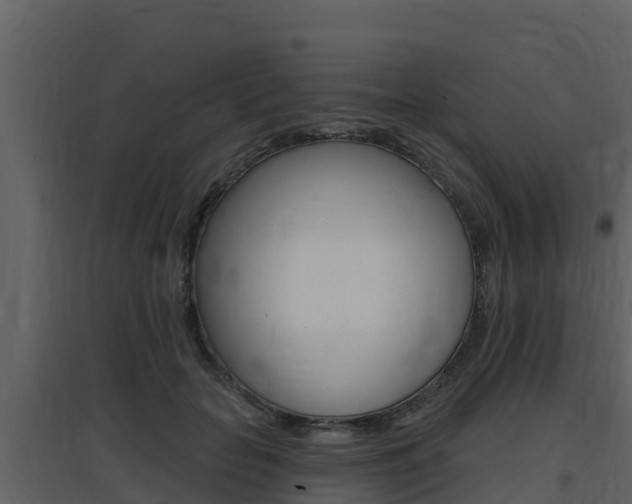 X0000097850653200803140858