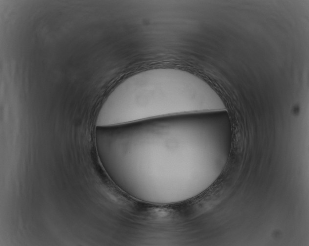 X0000097850654200803140858