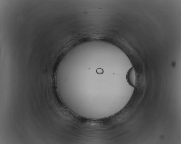 X0000097850655200803140858