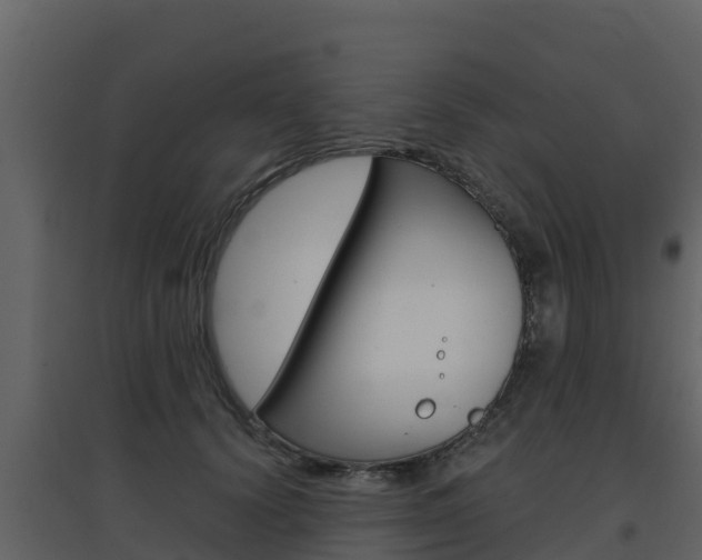 X0000097850656200803140858