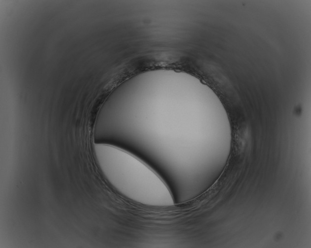 X0000097850657200803140858