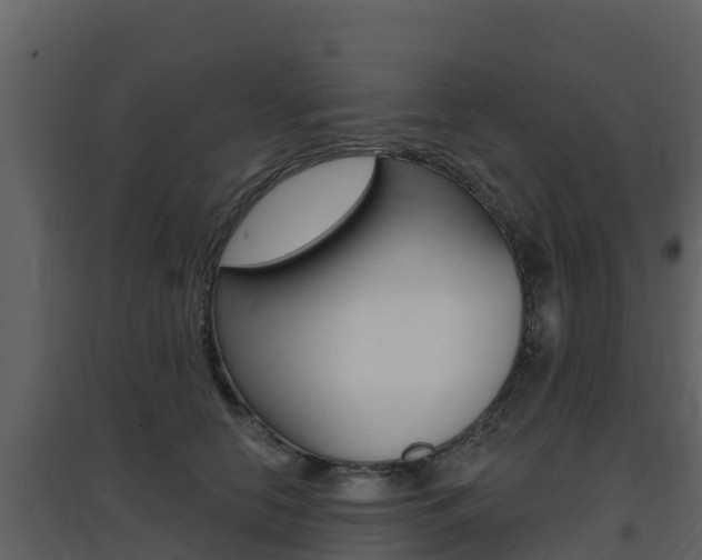 X0000097850658200803140858