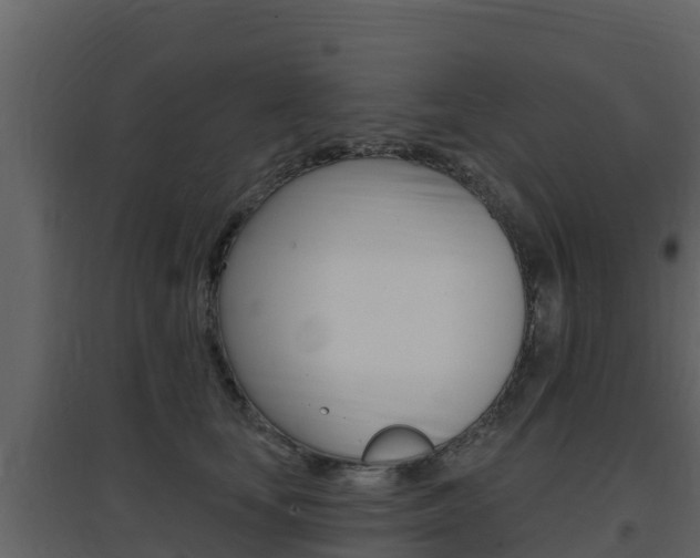 X0000097850659200803140858