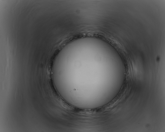 X0000097850661200803140858