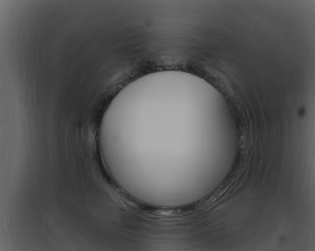 X0000097850662200803140858