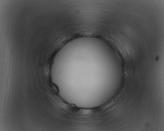 X0000097850665200803140858