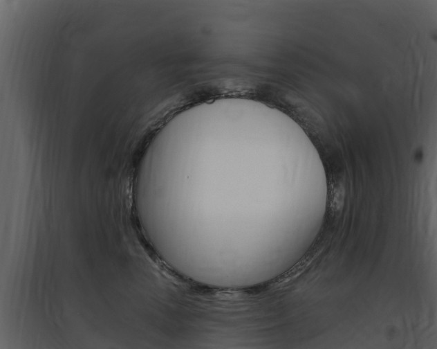 X0000097850666200803140858