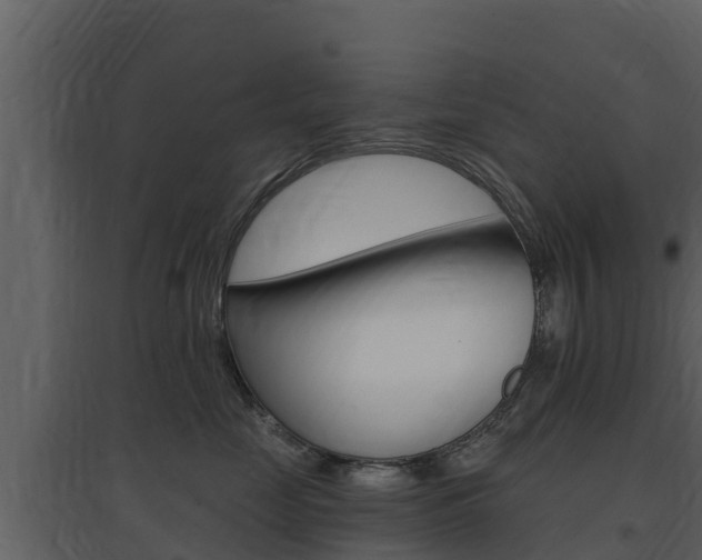 X0000097850669200803140858
