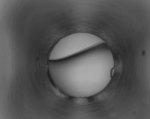 X0000097850670200803140858