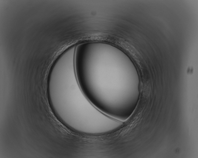 X0000097850673200803140858