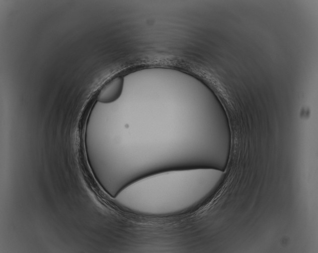 X0000097850674200803140858