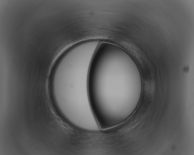 X0000097850676200803140858