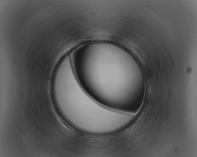 X0000097850677200803140857
