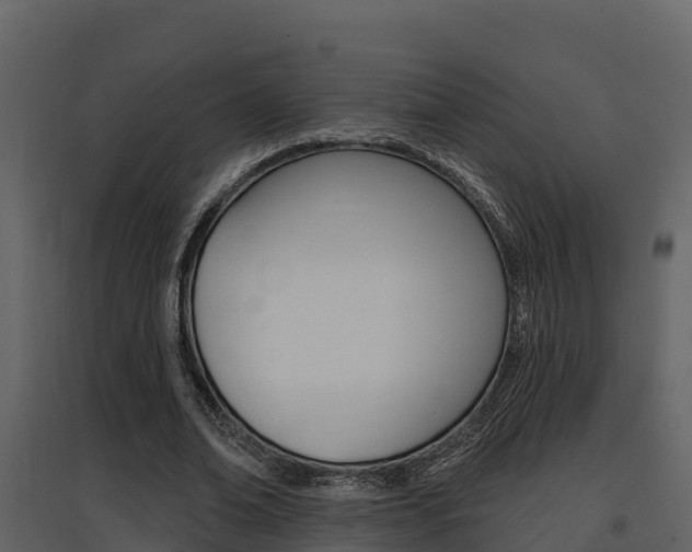 X0000097850678200803140857
