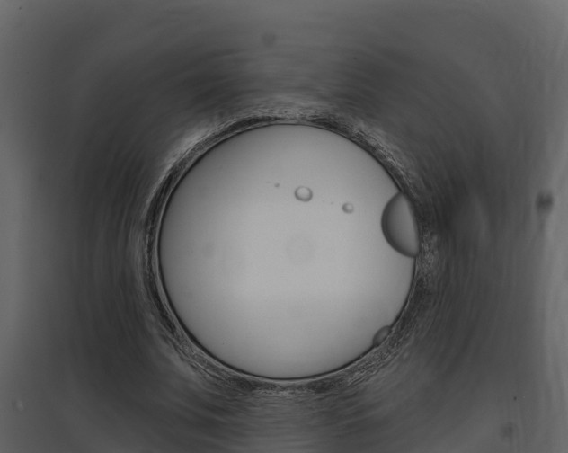 X0000097850679200803140857