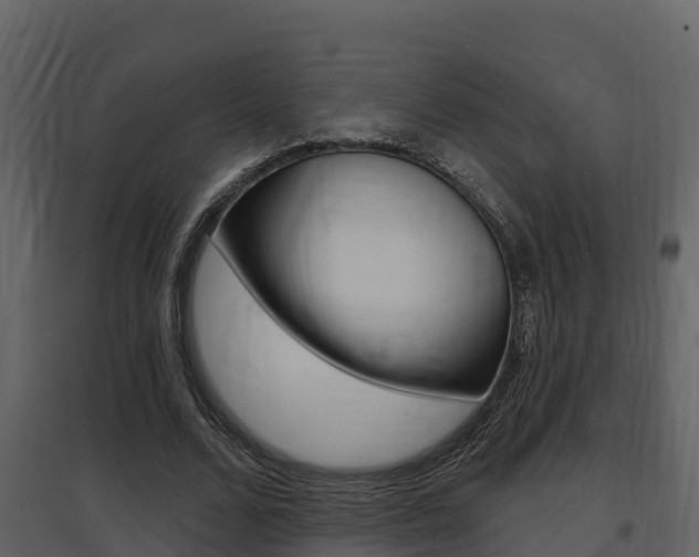 X0000097850680200803140857