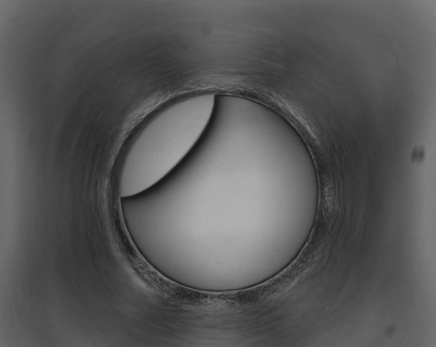 X0000097850682200803140857