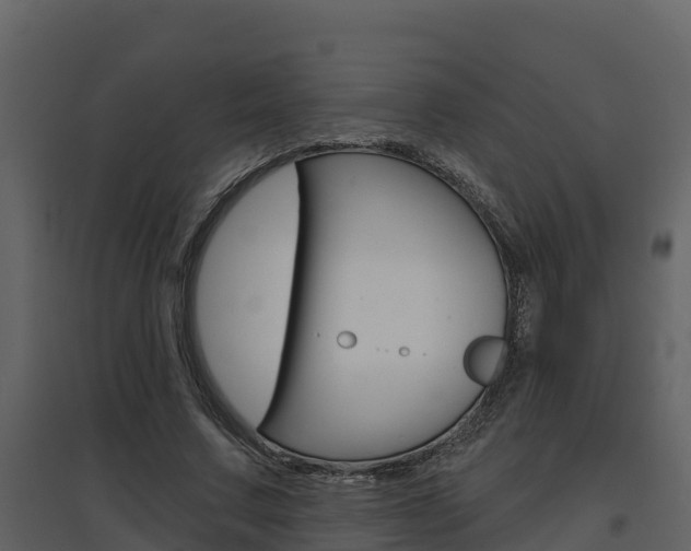 X0000097850683200803140857