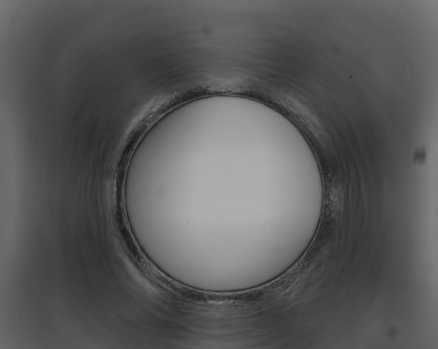 X0000097850686200803140857