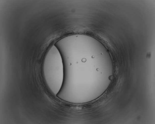 X0000097850687200803140857