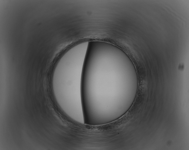 X0000097850688200803140857