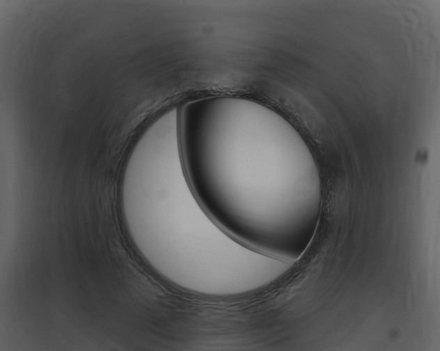 X0000097850689200803140857