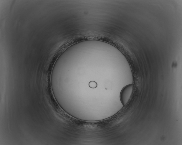 X0000097850690200803140857
