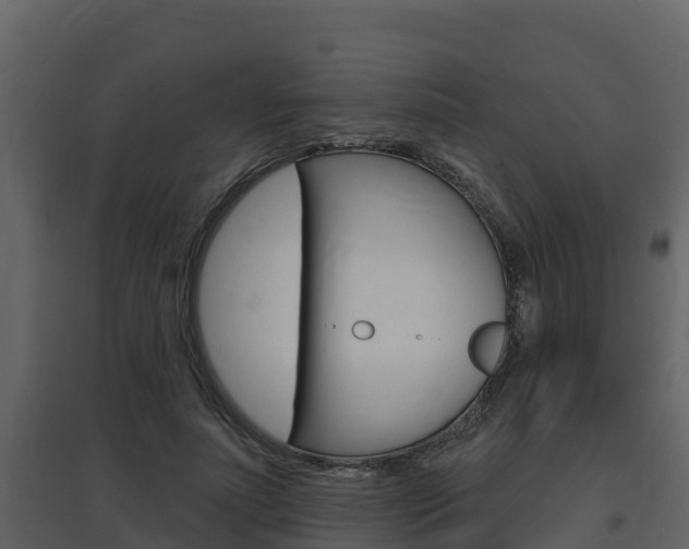 X0000097850691200803140857