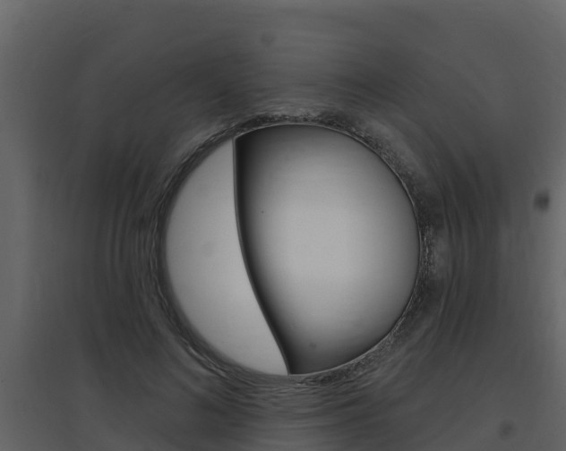 X0000097850692200803140857