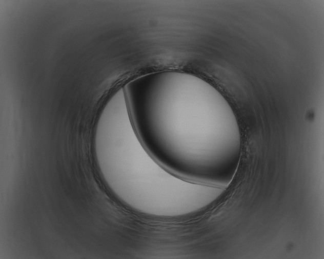 X0000097850693200803140857