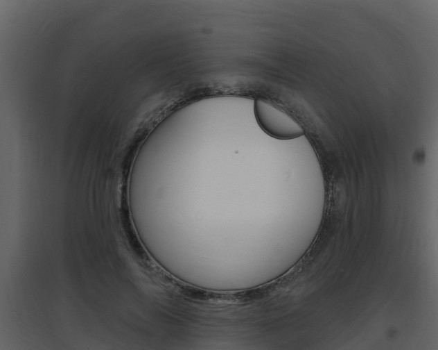 X0000097850694200803140857