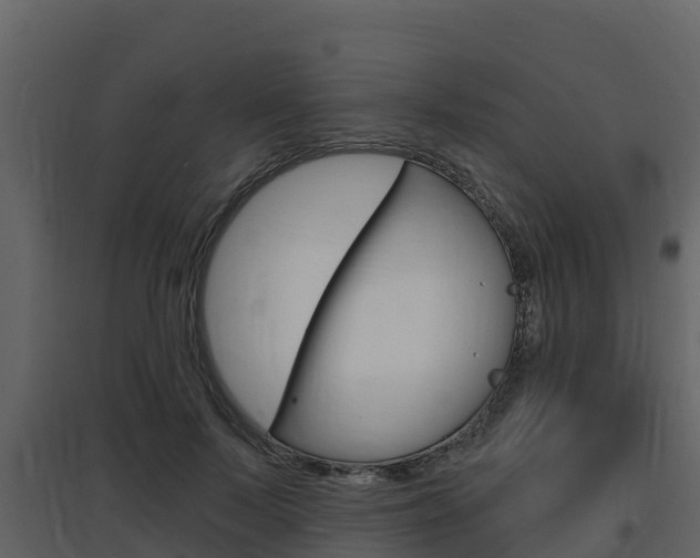 X0000097850695200803140857