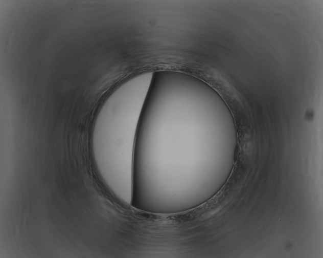 X0000097850696200803140857