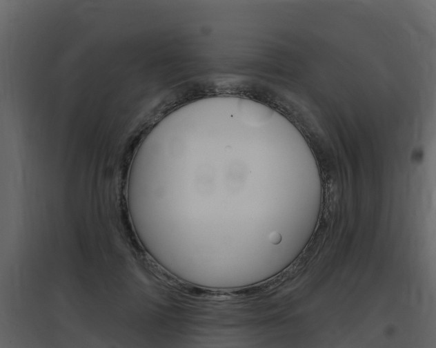 X0000097850698200803140857