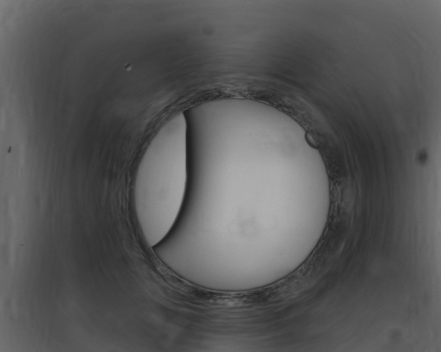 X0000097850702200803140857