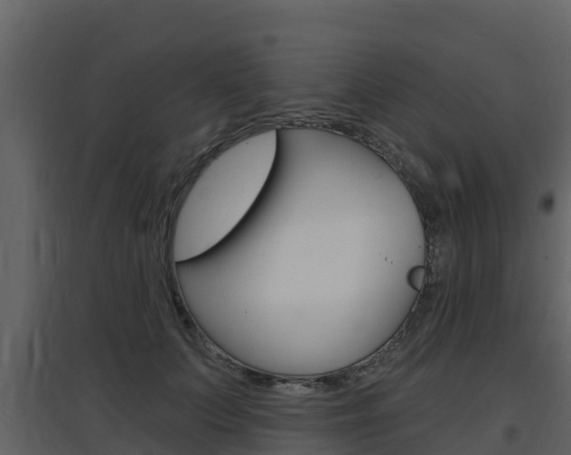X0000097850703200803140857